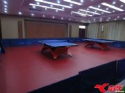 ����ƹ�������z�\�ӵذ�(�D)