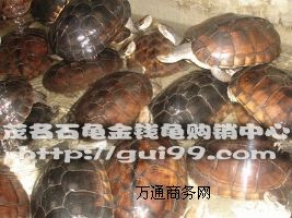 ����(y��ng)3-5��ʯ���X������