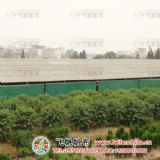 ����͸���i������_�������a�S_�w�������S