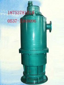 BQS120-50-30�����V�Ý�ˮ��,���۱�,��ɳ��