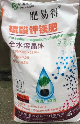 ���׵�������V�� ⛷� �V��������V