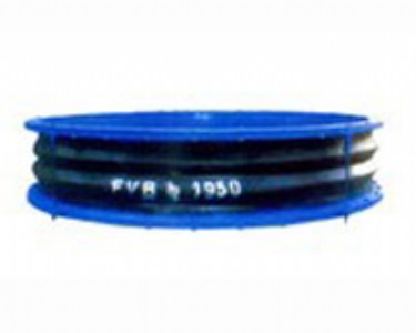 FVB���L�����z�a����