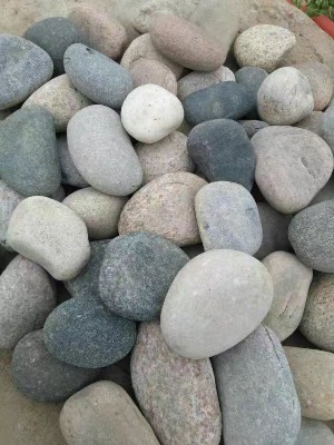 �o�a���d�Z��ʯ�V�����a�S��