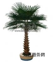 �����Aʢ�D�ؙ���(sh��)��������ؙ���(sh��)�r(ji��)��