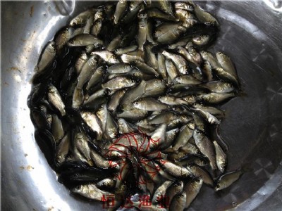 ���ֈA�^�a�~�磬�����S�a�a�~�磬�������a�~�����l����