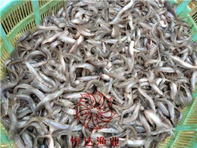 ꖽ��~���Bֳ����ꖴ��~�����l���V�ݺ��_�~���