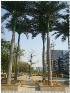 �߷������Ҭ �������Ҭ����ֲ������(sh��)