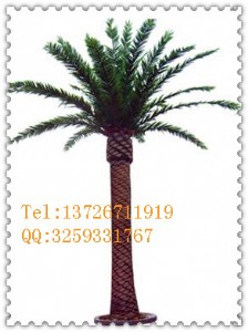 �҃�(n��i)���溣��䶨�� �Ƶ�����������l(f��)