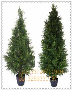 �S�����a�����ɘ� ��������ֲ�ﶨ�����l