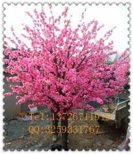 �����һ���ӆ�� ����ֲ��F(xi��n)؛���l(f��)