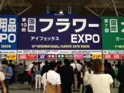 2015�ձ��@ˇչ