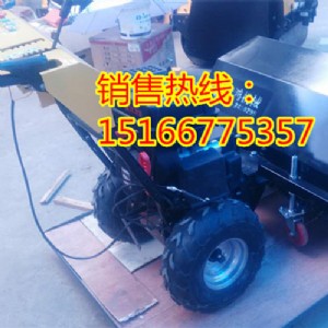 �½��ַ�ʽ��ѩ�CС����ѩ�C�r��