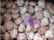 ������ȡ��