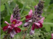 �����ȡ��