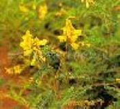 �S����ȡ��