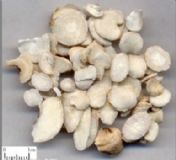 ������ȡ��