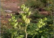 �ߞ�����