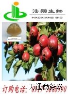 ɽ��~ĵ�G��