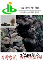 ��ľ����ȡ��