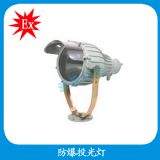 cybt8960����Ͷ���  250w����Ͷ���