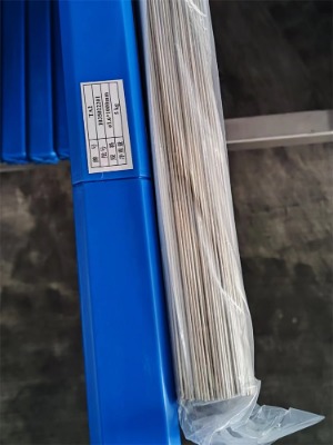 TA2���zERTi-2⁺Ͻ𺸽zERTi-1⁺��z