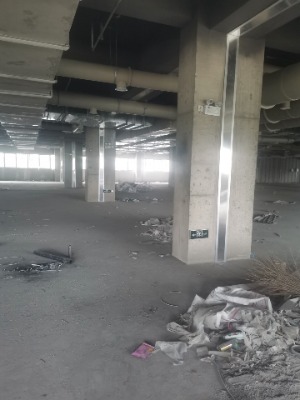 �≦�����w����׃�οp�S��