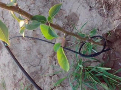 ���@�ι��O��