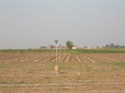 �r�I(y��)����O��