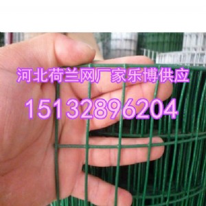 �ϲ��B(y��ng)ֳ�F�z�W(w��ng)Ҏ(gu��)�������m�W(w��ng)���o(h��)�W(w��ng)�S��ֱ�N