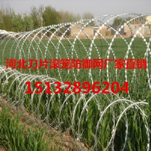 �������K���o�W���ϵ�Ƭ�̾W�S�Ҍ��I���a