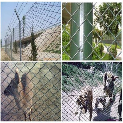 �ӱ��V�������^�W�S�ҹ�����ͬ�V�þ������ξW˷��ú�V֧�o���ξW