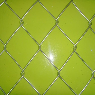 �ӱ������Bֳ�F�z�W�S��ĵ�����WУ�و����x�W�ں�߅�·��o�����W