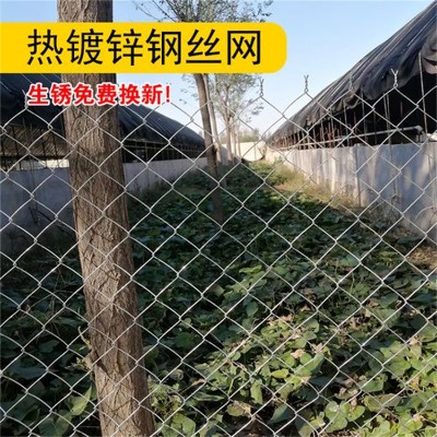 2mm�֑�����������W�WУ�و����o�W�WУ�w��������