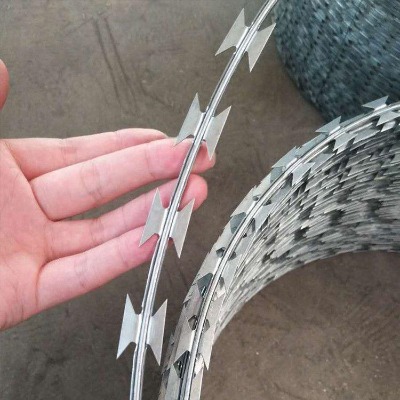 �ӱ���Ƭ�̾W�S�Һ��Ϸ��o�W�Lɳ�L�\�F�z�����W