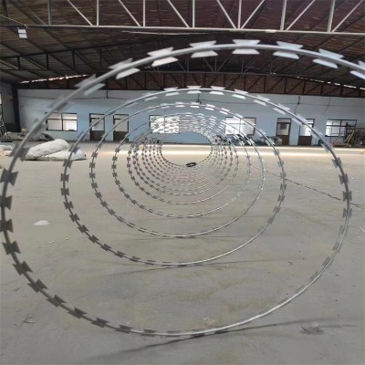 �ӱ��̽z�L�\�S���ຣ��Ƭ�̽z�W�����������۵��̾W