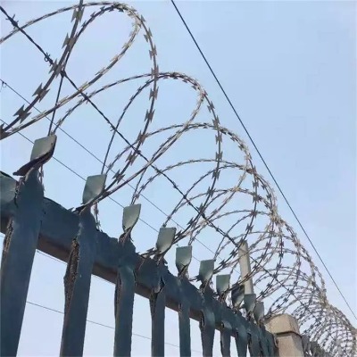 �ӱ��̽z�L�\�S�Ҍ��ĸ��F�̽z�L�\�y���̵�Ȧ