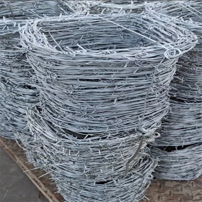 ���������W(w��ng)���I�̎����I�̝L�\