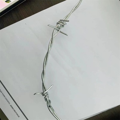 �����̽z�L�\�������̾W�����L�̾W