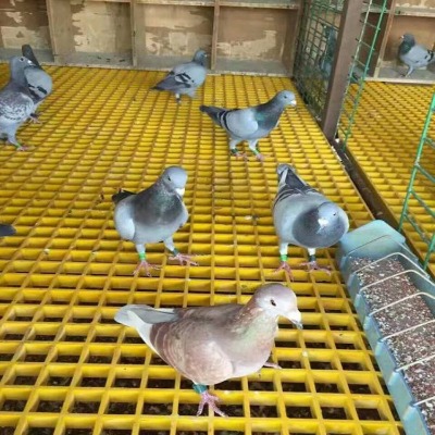 ��ɫ���ӹ�����ˮ���w��؜��w�岣����w�嗣���w��