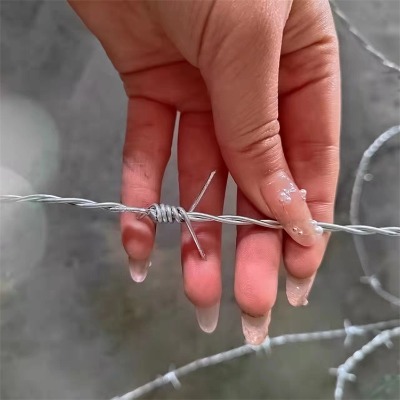 �S�^���I���K�������I�W��\�̾�