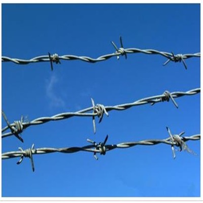 q195�ιɴ��K�p�ɴ��K���ܴ��K