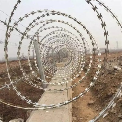 304���P䓽z�p������Ƭ���Kֱ���͵�Ƭ���K�߸��͵�Ƭ���K