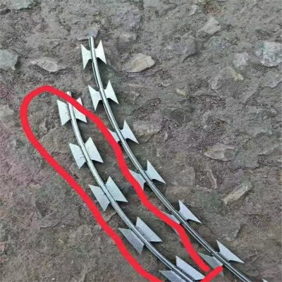 ֱ��50�����̾W(w��ng)�����̎���\���P���I�W(w��ng)