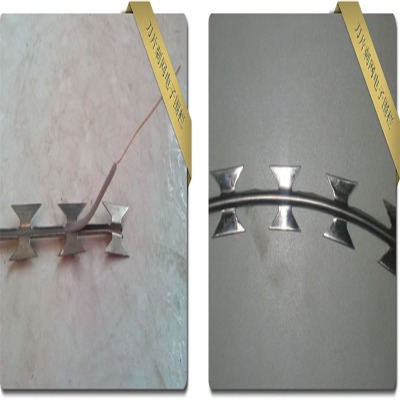 ����Ժ�����I�̾W�WУ�������̾W��\�LͲ