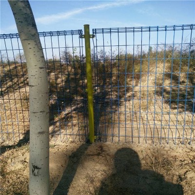 �����Gɫ����o(h��)�ھW(w��ng)�S���҃�(n��i)���x�S�^(q��)���x���W(w��ng)