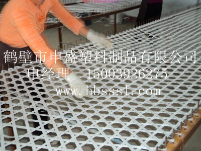 ���o���ȼ�W ���Ͼ����W �������o픾W