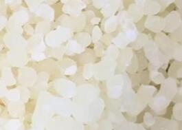 ���M��xla-tl6