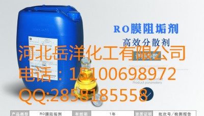 ����roĤ���B͸�蹸��