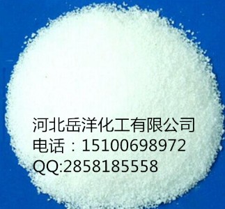 ����偠t���w������