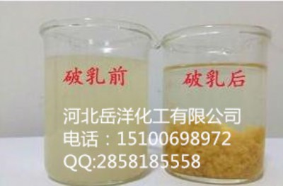 ����(y��ng)�������鄩